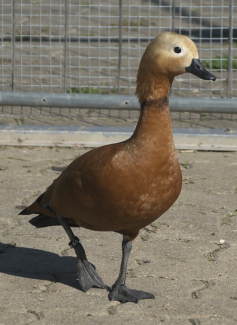 大数据