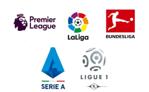 两翼的活力 两翼的活力